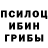 ГАШИШ Изолятор Bryce Borges