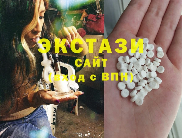 гашик Алексин