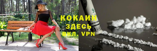 индика Алексеевка